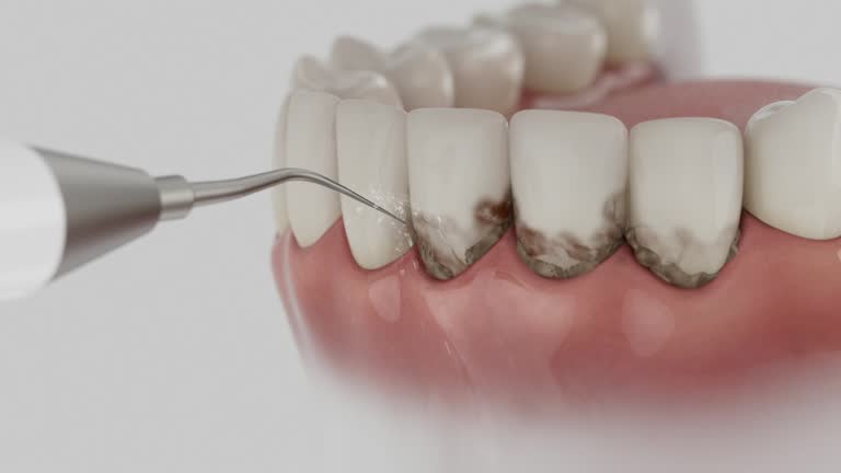 Reliable Dental contractor in Richland County County, MT by Dentist Open Now